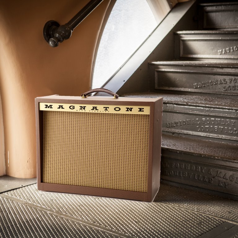 Magnatone Varsity Reverb EL84 JJ Full Revalve Kit Magnatone Varsity Reverb EL84 JJ Full Revalve Kit